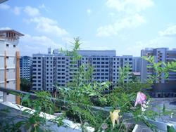 Blk 740 Woodlands Circle (Woodlands), HDB 5 Rooms #115687172